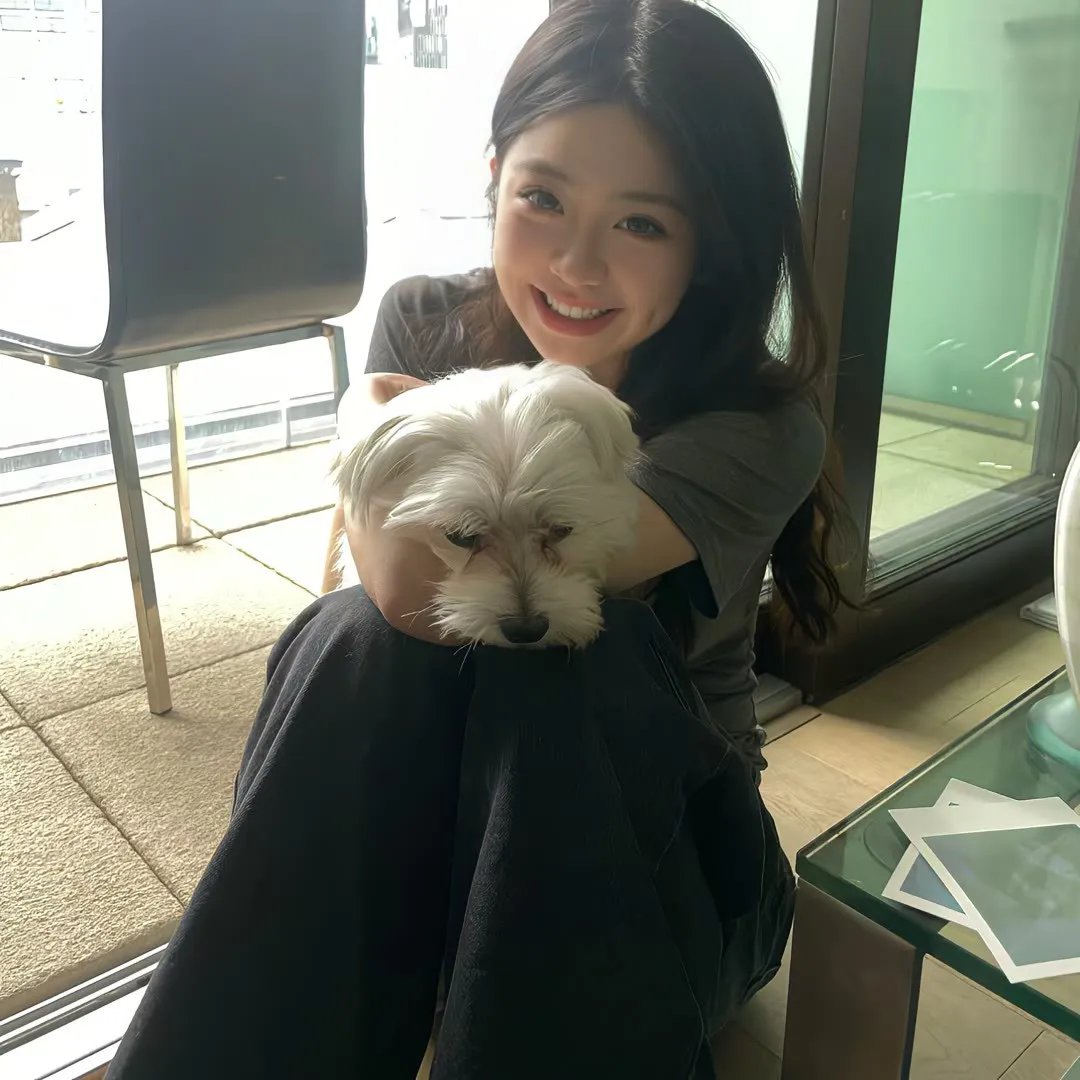 画鸡
